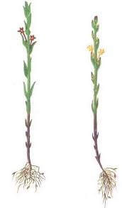 WhatsApp Image 2026-01-01 at 9.45.42 AM.jpeg